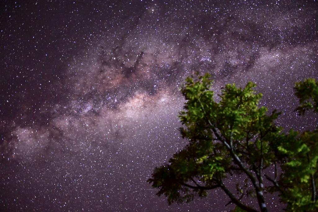 Pousada Encantos Do Cerrado Delfinópolis Exterior foto